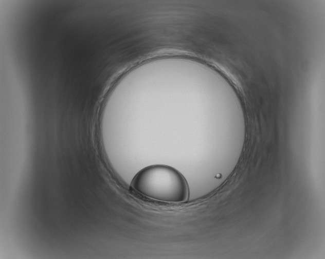 X0000111840015200907231048