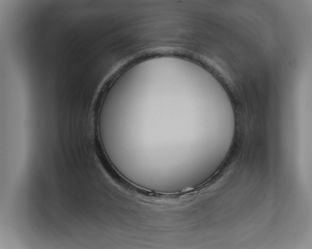 X0000111840016200907231048