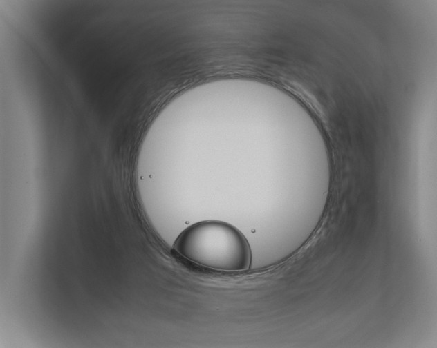 X0000111840017200907231048