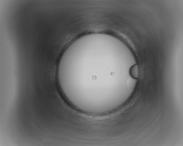 X0000111840018200907231048