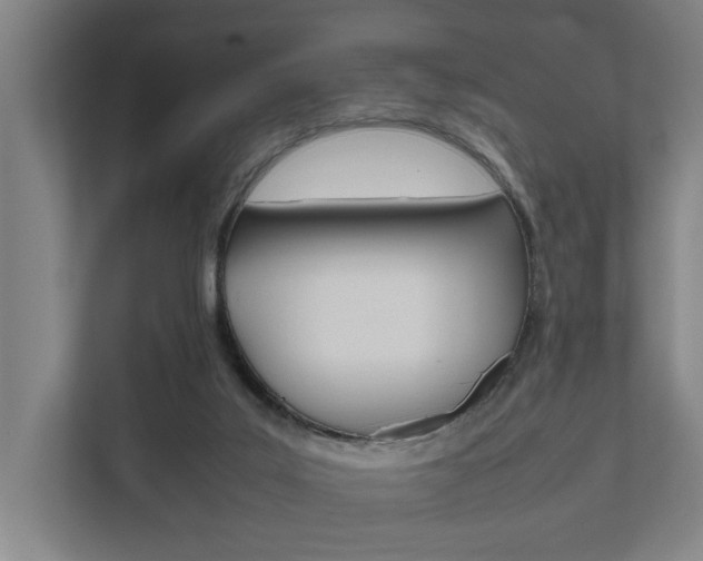 X0000111840019200907231048