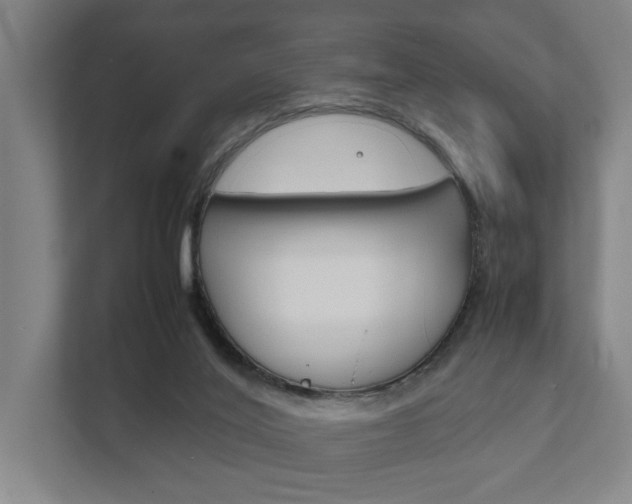 X0000111840020200907231048