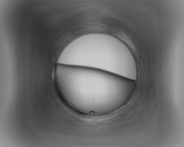 X0000111840021200907231048