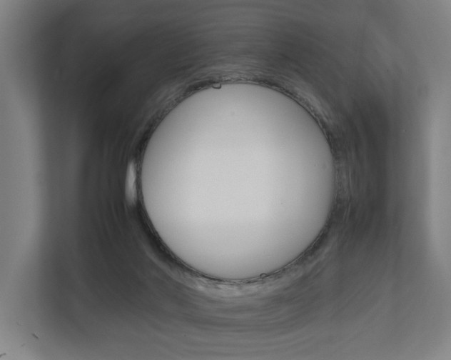 X0000111840022200907231048