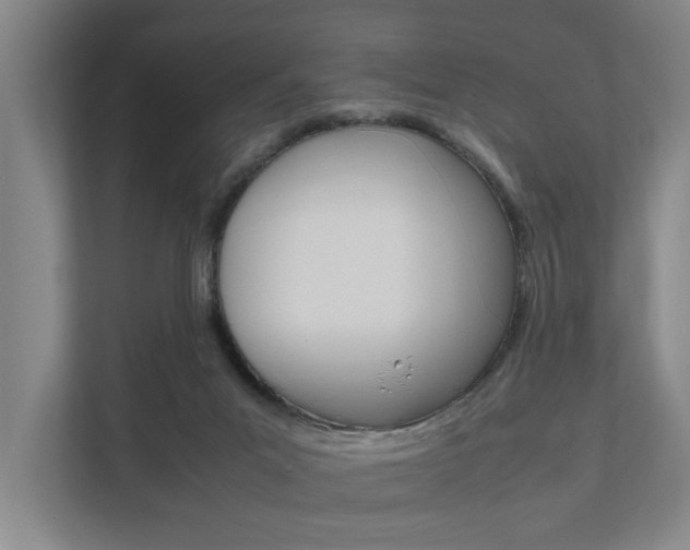 X0000111840023200907231048