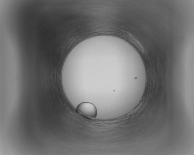 X0000111840025200907231048