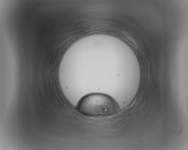 X0000111840029200907231048