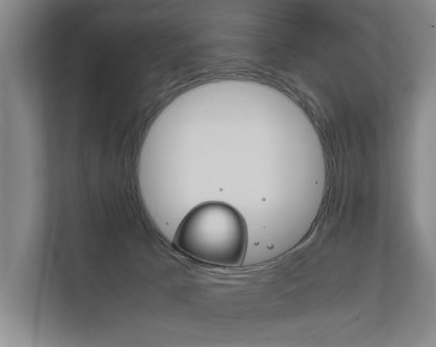 X0000111840033200907231048