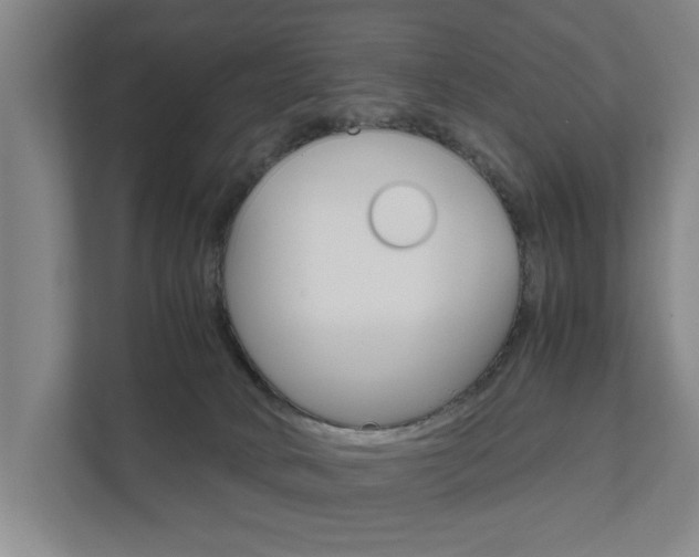 X0000111840034200907231048