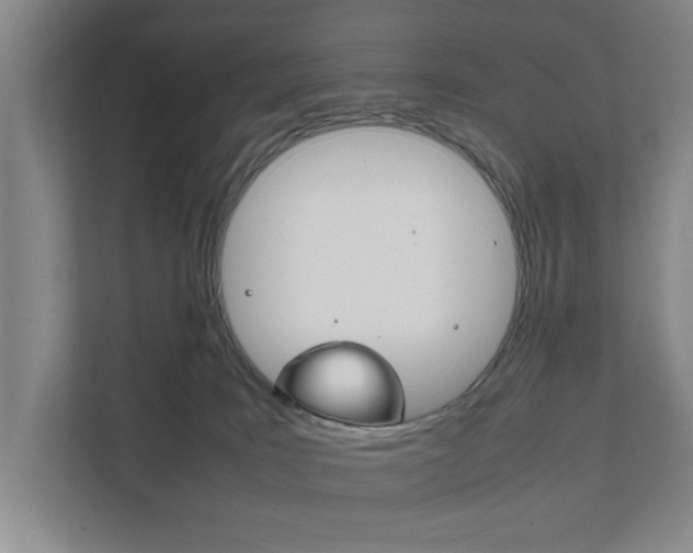 X0000111840035200907231048