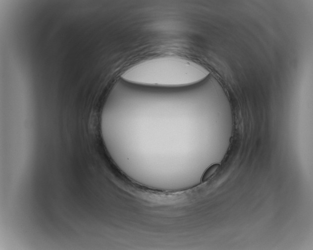 X0000111840036200907231048