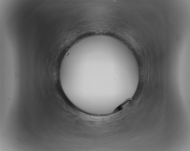 X0000111840039200907231048