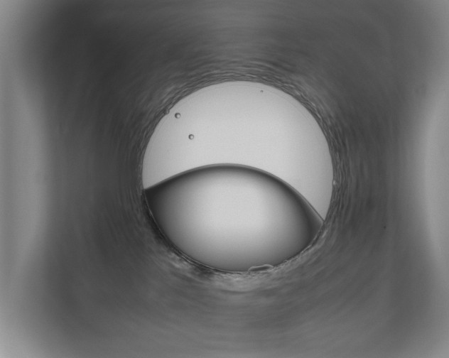 X0000111840041200907231048