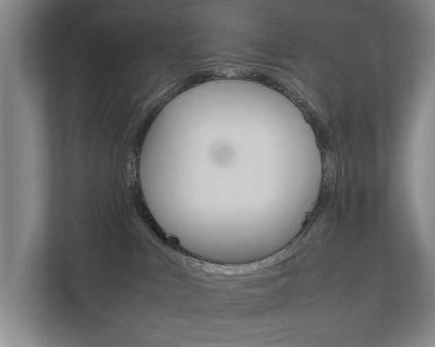 X0000111840043200907231048