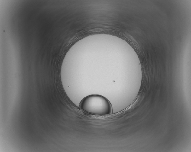 X0000111840045200907231048
