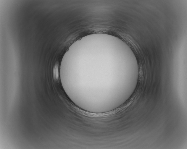 X0000111840046200907231048