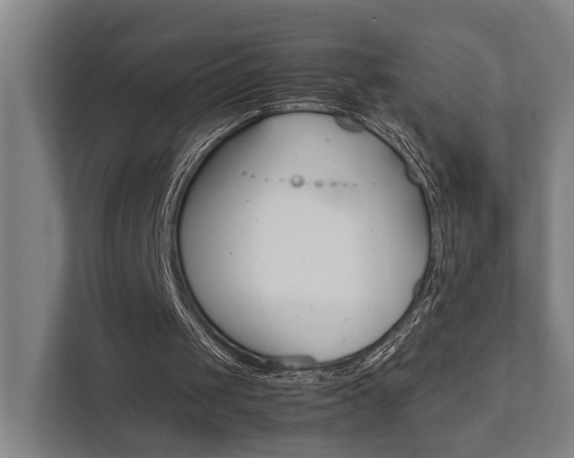 X0000111840049200907231047