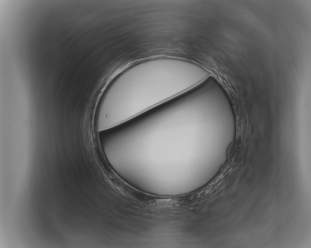 X0000111840050200907231047