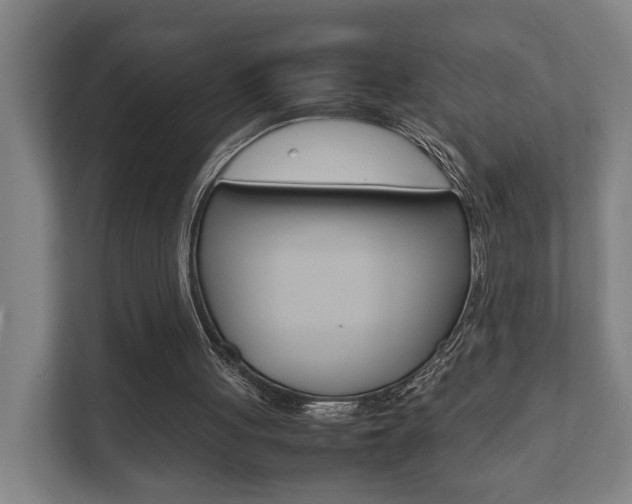 X0000111840051200907231047