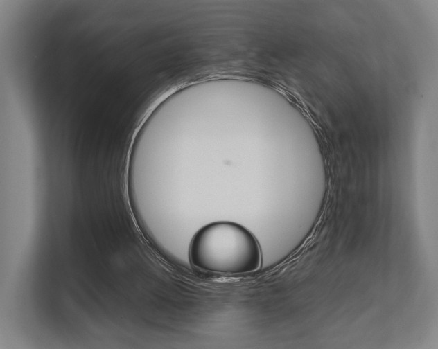 X0000111840052200907231047