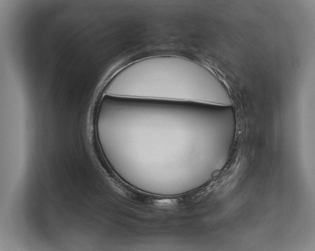 X0000111840053200907231047