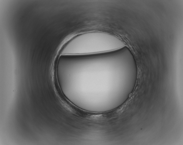 X0000111840054200907231047