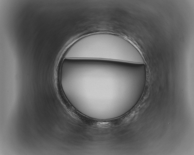 X0000111840055200907231047
