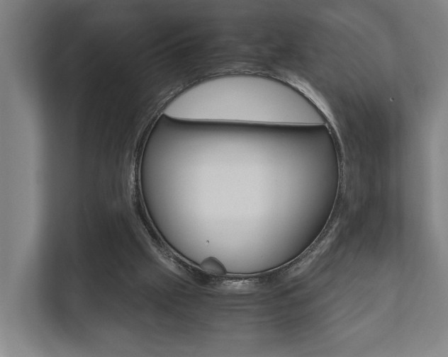 X0000111840057200907231047