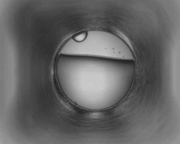 X0000111840059200907231047
