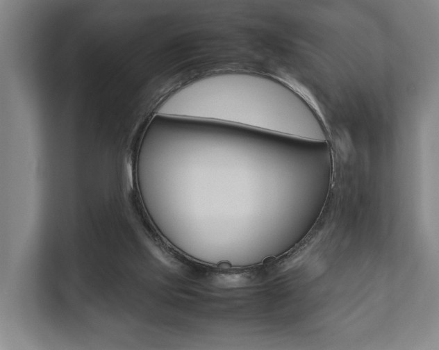 X0000111840061200907231047