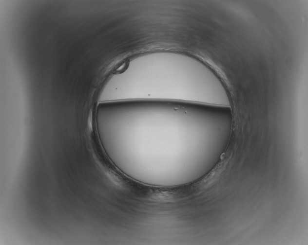 X0000111840062200907231047