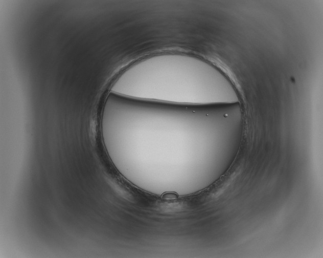 X0000111840063200907231047