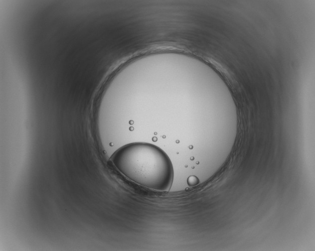 X0000111840064200907231047