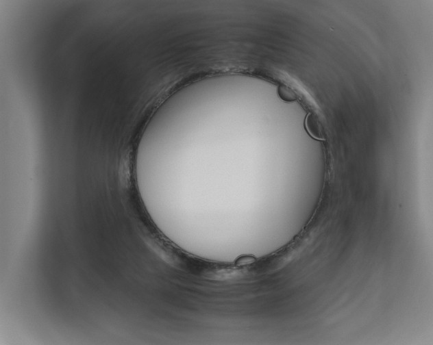X0000111840065200907231047