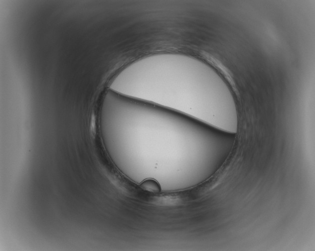 X0000111840067200907231048