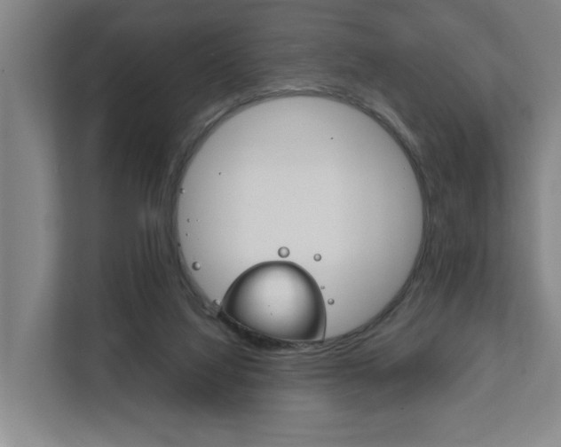 X0000111840068200907231048