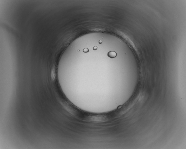 X0000111840069200907231048