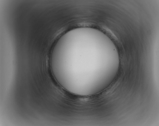X0000111840071200907231048