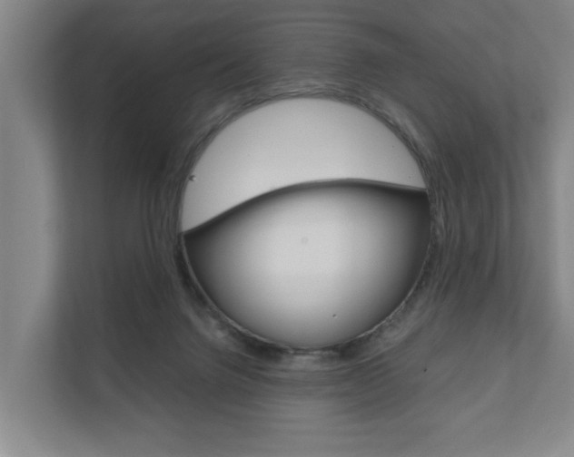 X0000111840072200907231048