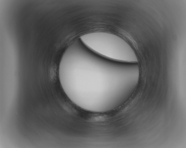 X0000111840073200907231048