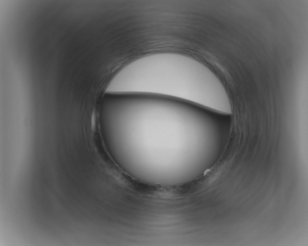 X0000111840076200907231048