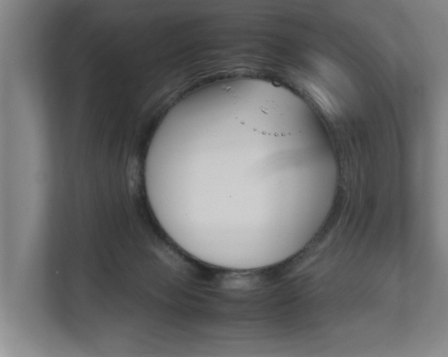 X0000111840077200907231048