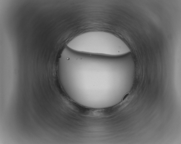 X0000111840078200907231048