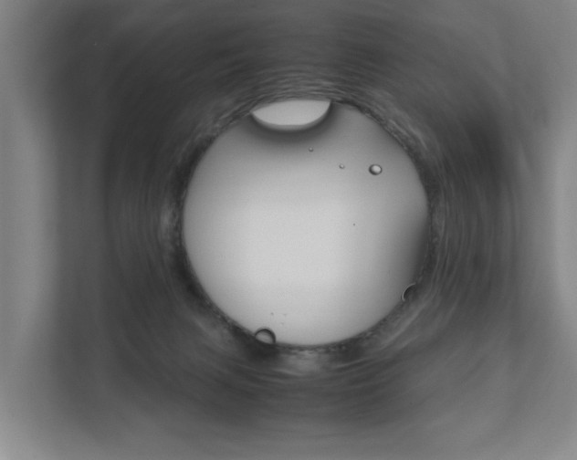 X0000111840079200907231048