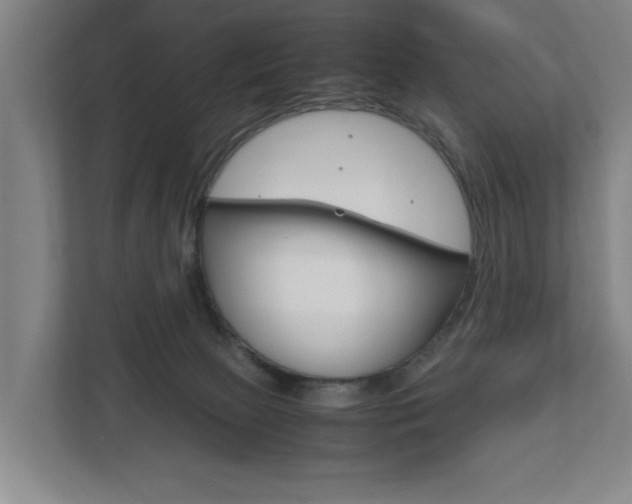 X0000111840081200907231048