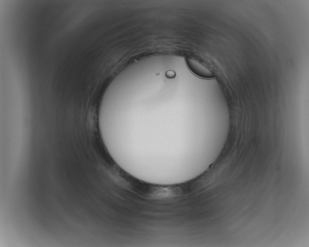 X0000111840083200907231048