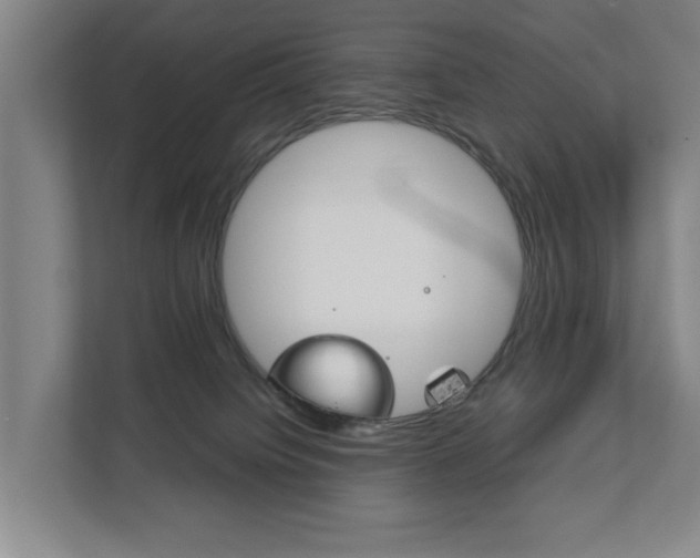 X0000111840084200907231048