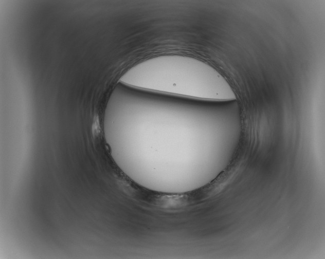 X0000111840089200907231048