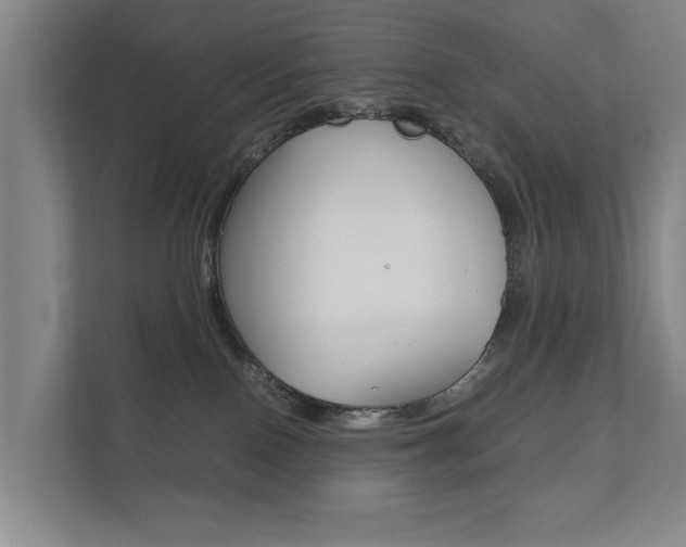 X0000111840090200907231048