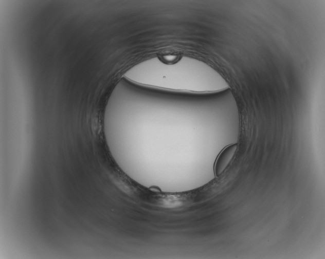 X0000111840091200907231048